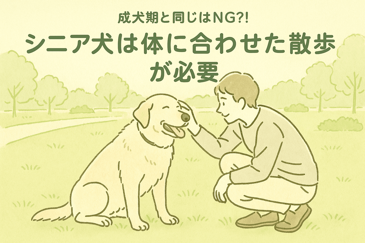 シニア犬　散歩　変化